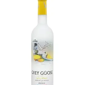 Grey Goose Magnum